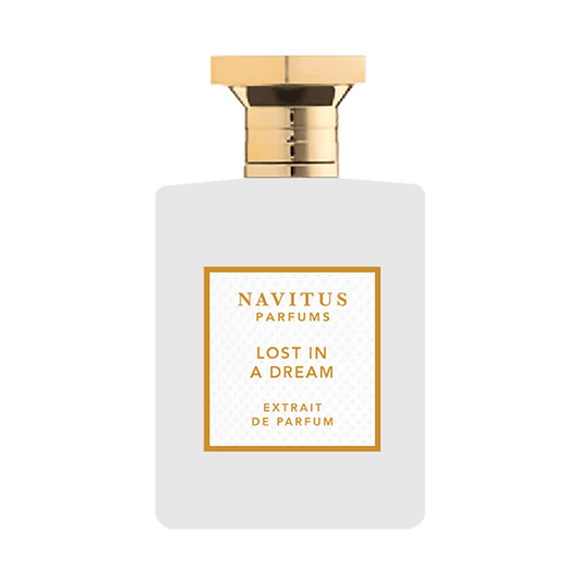 Navitus Lost In A Dream Samples Decants