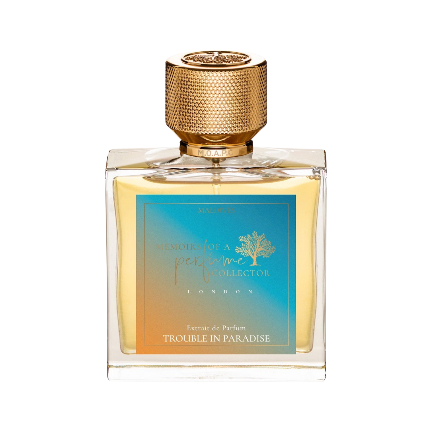 Memoirs Of A Perfume Collector MOAPC Trouble In Paradise 75ml Bottle